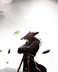 穿越之如意佳妻