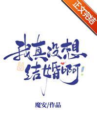 我真没想结婚啊魔安TXT
